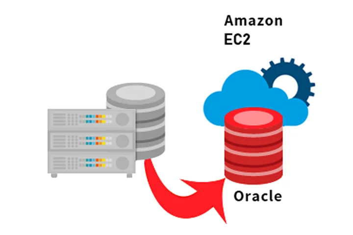 Oracle DatabaseをAmazon EC2上へ移行し、運用を維持したままコスト削減を実現した事例｜アシスト提供