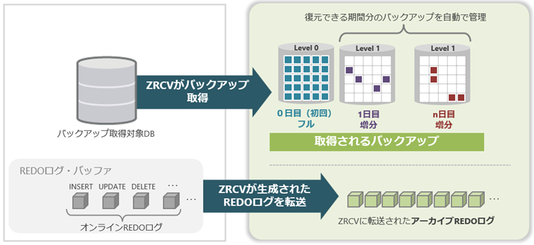 ZRCVの仕組み